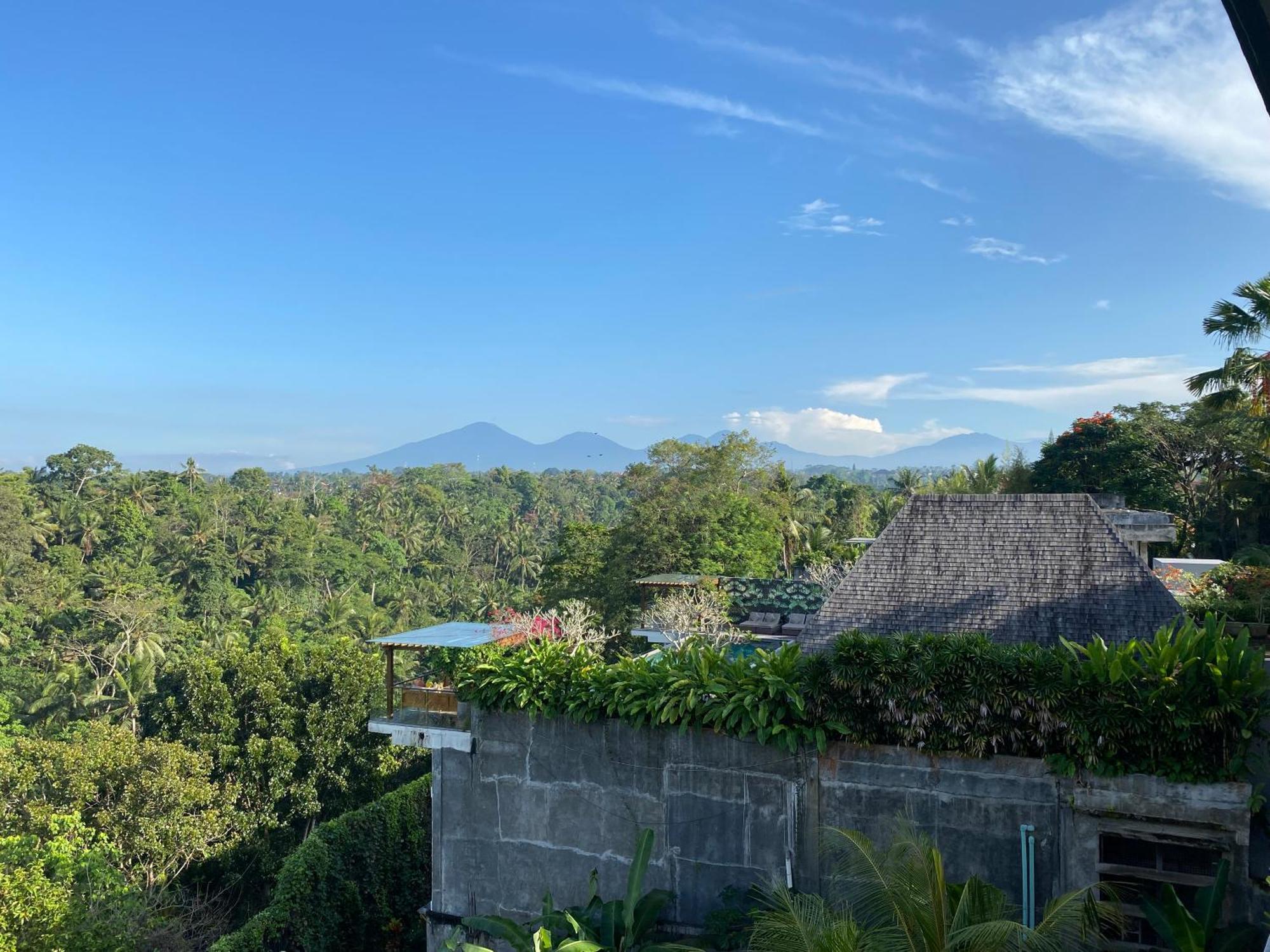 Brata Cottage Ubud Kültér fotó