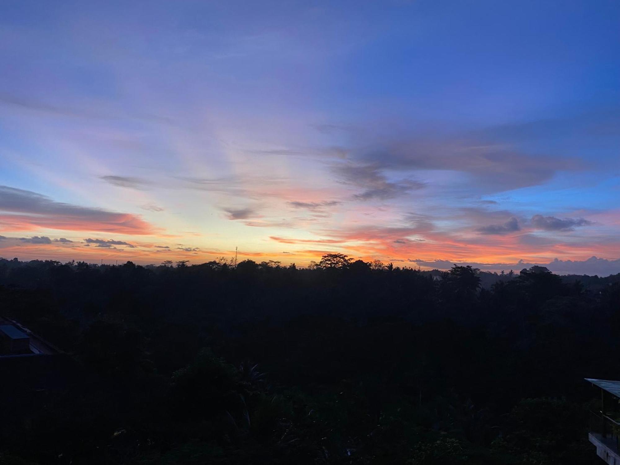 Brata Cottage Ubud Kültér fotó