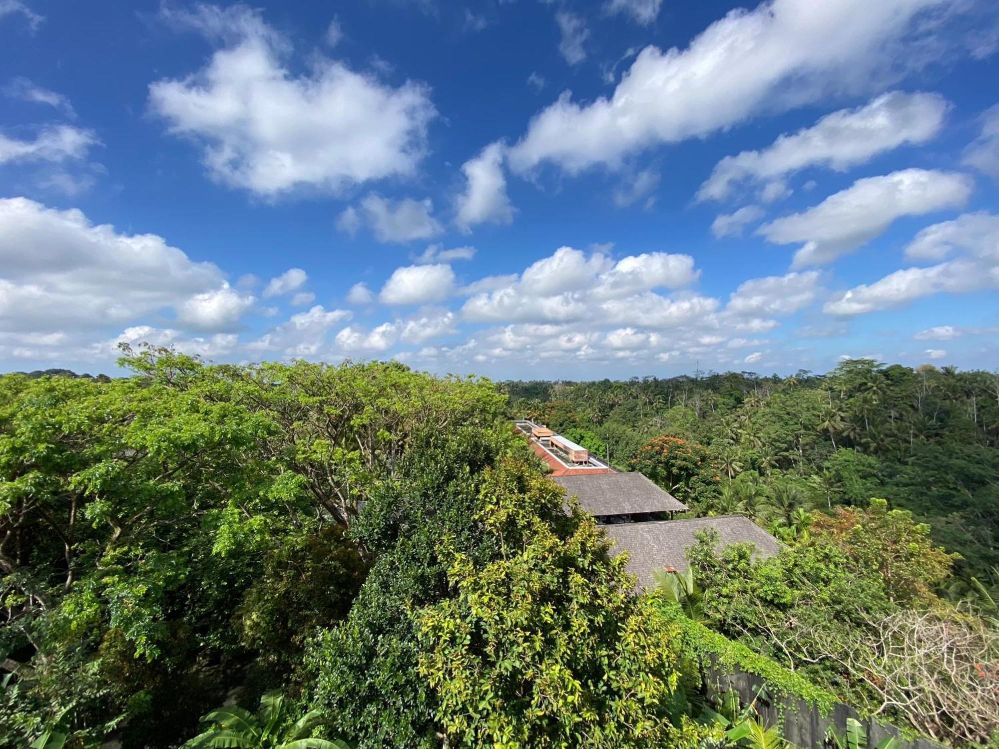 Brata Cottage Ubud Kültér fotó
